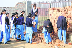 Students of Government Girls Senior Secondary School at Baland village in Rohtak district engaged in labour work for the construction of a room in the school on Friday. Students said they were in the school to study and not to do such work