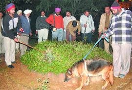 A team of bomb disposal squads, along with a sniffer dog, searches the Partap Bagh area in Jalandhar. (Right) Rahul informs the police about the conversation he heard regarding the bomb