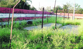 The mini stadium in Hiranagar, which looks shabby owing to lack of maintenance.