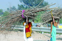 Women carry firewood as chilly weather sets in