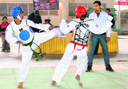 A match in progress during the Punjab Tae kwon do Championship in Ludhiana on Saturday.