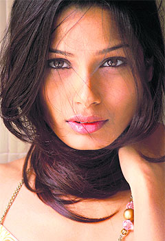 Freida Pinto will soon be seen in Woody Allens You will Meet a Dark Tall Stranger. 