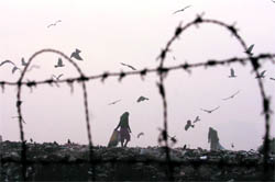 Ragpickers brace themselves for another tough day on a foggy Sunday morning in Chandigarh