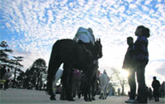 Tourists enjoy the cloudy weather in Shimla