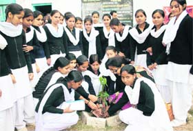 Students participate in a plantation drive at Government Higher Secondary School, Channi Himmat, in Jammu on Monday. 