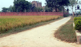 A kutcha road leads to a farmhouse, 12 km from Amritsar city, which is not registered under the farmhouse stay scheme but offers almost similar facilities.