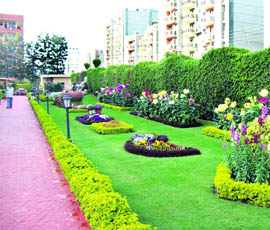 A  lawn with supportive landscape features.