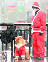 A man and a dog dressed in Father Christmas costumes collect money for an animal charity in London on Friday.