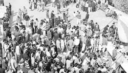 Heavy rush of litigants at the lok adalat held at District Courts in Sector 17, Chandigarh, on Saturday. 