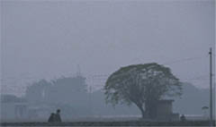 A thick blanket of fog engulfs Ludhiana after the mercury dipped 