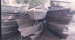 The boats seized by the officials of the wildlife department in Hari Ke sanctuary during the last one year are lying on its office premises.
