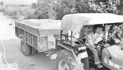 A tractor-trolley loaded with illegally quarried sand comes out of the Mullanpur seasonal rivulet.