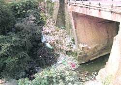 Heaps of polythene in Bhiral khad near Yamni Hotel in Palampur