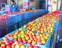 Shops in the congested Namhole market remain flooded with tomatoes during the season