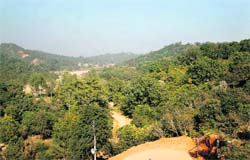 The forestland which has been identified for setting up of the Central University in Samba district.