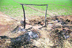The remains of a thatched hut after a fire broke out at Rayyan village in Sahnewal.