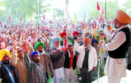 Members of various farmer and farm labourer unions hold a protest rally and dharna outside the Mini- secretariat in Bathinda on Wednesday