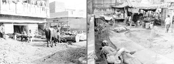 A dairy owner encroaches upon a park at Moongfali Market; and (right) a dhaba being operated from Sri Guru Ravidass Park near Gurdwara Dukhniwaran Sahib in Patiala.