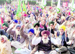Farmers stage a protest outside the DCs office in Ludhiana on Wednesday