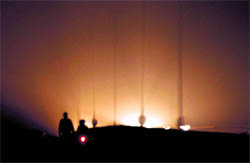 Poor visibility due to the fog which affected the flow of traffic in Ludhiana on Wednesday