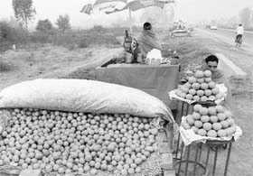 Fruit vendors sit along the Ambala-Chandigarh highway at Zirakpur
