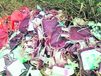 A file photo of the biomedical waste recovered from the roadside near Sirsa.