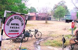 The PWD regional research laboratory which was the chosen site for the PWD mini-secretariat.