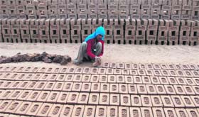A woman makes bricks on the Landra-Fatehgarh road.