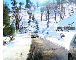A view of the road in Munsiyari block of Pithoragarh district