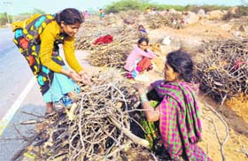 Women collect firewood alongside the Gurgaon-Faridabad highway