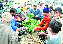 People make purchases after the curfew was relaxed at Bhikhi on Monday evening. Tribune photo: Pawan Sharma