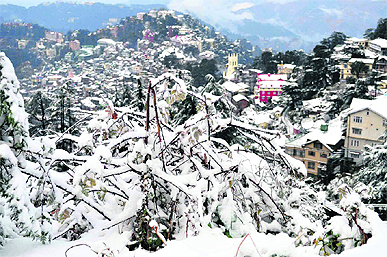 Shimla, the Queen of Hills, wears a white blanket after the seasons first snowfall on Friday. 