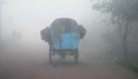 Schoolchildren on their way to school on a cycle rickshaw on a foggy Tuesday morning in Doraha.