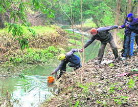 A team of the Punjab Pollution Control Board collects samples of sewage water, discharged by the Mukerian Municipal Council in the Beas on Wednesday.