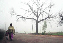 A woman walks in thick fog at Miran Sahib village on the outskirts of Jammu on Wednesday