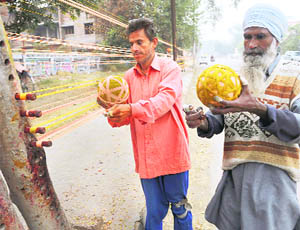 Two workers prepare balls of kite thread by a roadside in Amritsar on Wednesday ahead of the Lohri festival.