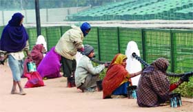 Workers paint a grill at Rajpath ahead of the Republic Day function in New Delhi on Thursday.