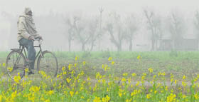 A cyclist goes to work on a foggy morning near Pholariwal village on Thursday
