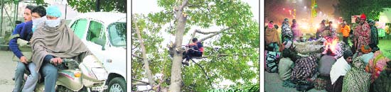 (From left to right) Bikers muffle their faces to protect themselves from cold; a man cuts branches of a tree after residents of the Club Road complained of sun being blocked; and homeless gather around a bonfire in Ludhiana