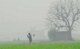A labourer walks through the fields on a foggy Friday morning near Jalandhar.