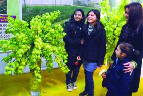 All Praise: Girls pose with cymbidium orchids at the expo in New Delhi