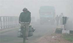 A cyclist makes his way through thick fog on the outskirts of Jammu on Sunday. 