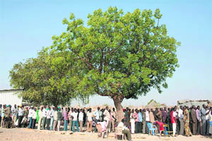 Southern Sudanese people queue up under a tree outside a polling station in the southern town of Bentiu to take part in voting on Sunday.