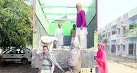 Labourers offload unclaimed wheat bags at the Kalanwali police station on Monday.