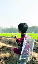 Sun brought smiles to the faces of children who were seen flying kites all through the day in Ludhiana on Tuesday