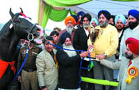 Deputy CM Sukhbir Badal (right) gives away the trophy 