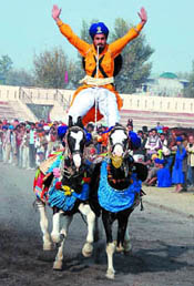 A Nihang of Tarna Dal performs a stunt on the concluding day of the National Livestock Championship-2011 at Muktsar on Wednesday.