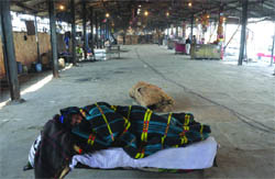A labourer takes a nap at Azadpur Mandi, which wore a deserted look due to wholesale traders strike, in New Delhi