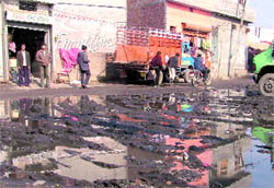 Overflowing sewage, slush is a common sight in Hargobind Nagar locality in Ludhiana