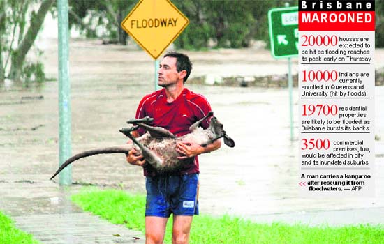 A man carries a kangaroo after rescuing it from floodwaters.  AFP